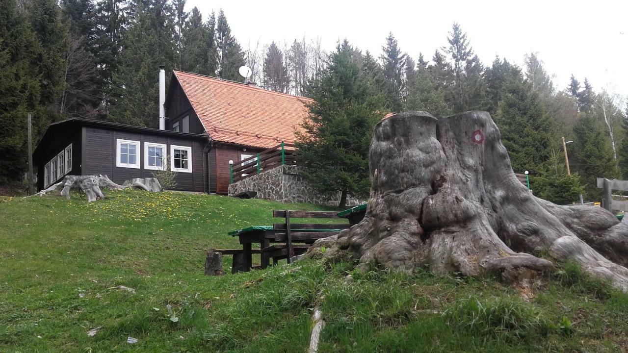 Bolfenk Apartment Hočko Pohorje المظهر الخارجي الصورة